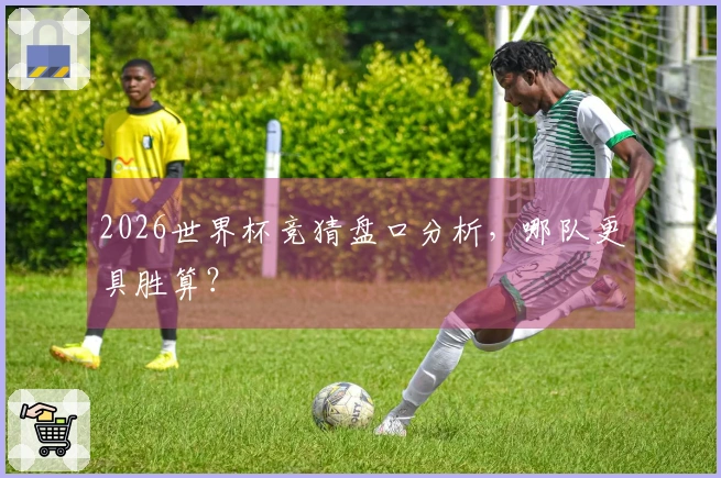 2026世界杯竞猜盘口分析，哪队更具胜算？