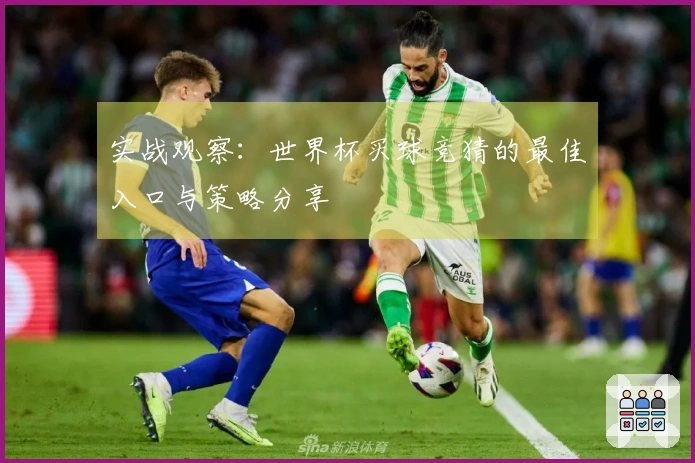 实战观察：世界杯买球竞猜的最佳入口与策略分享