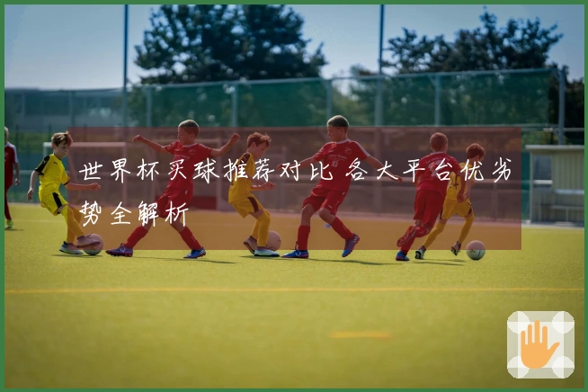 世界杯买球推荐对比 各大平台优劣势全解析