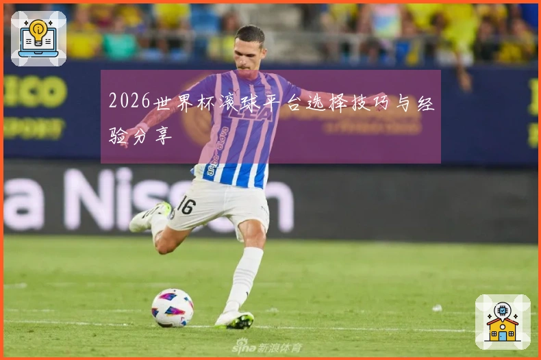 2026世界杯滚球平台选择技巧与经验分享