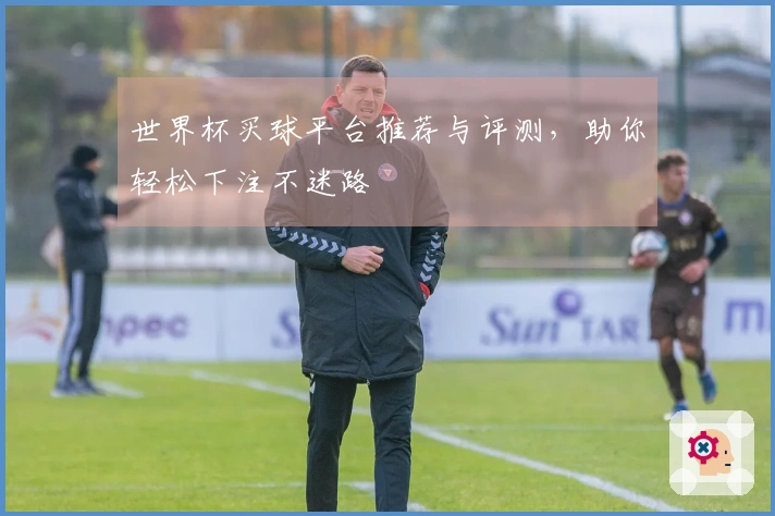 世界杯买球平台推荐与评测，助你轻松下注不迷路