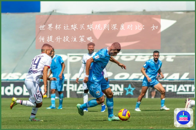 世界杯让球买球规则深度对比：如何提升投注策略