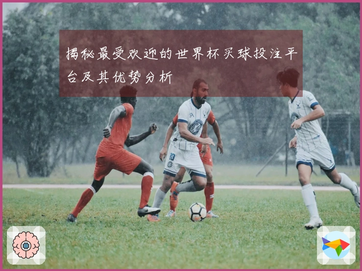 揭秘最受欢迎的世界杯买球投注平台及其优势分析