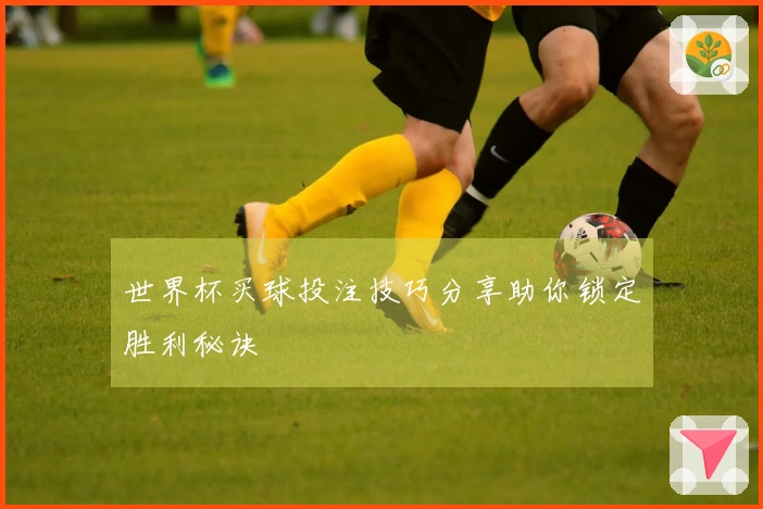 世界杯买球投注技巧分享助你锁定胜利秘诀