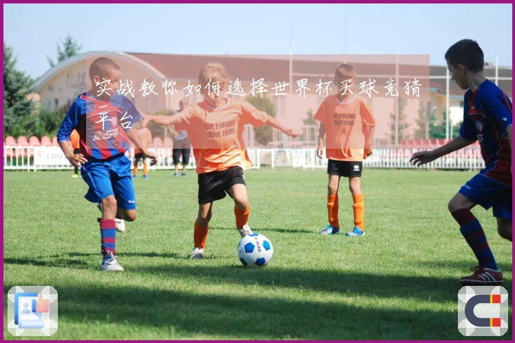实战教你如何选择世界杯买球竞猜平台