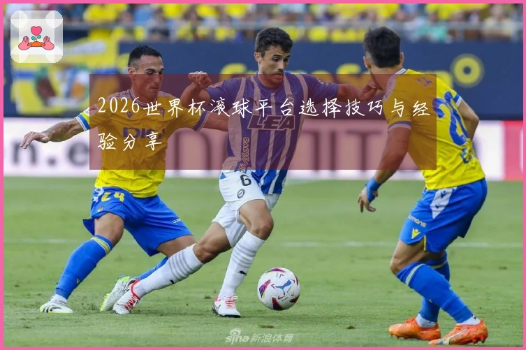 2026世界杯滚球平台选择技巧与经验分享