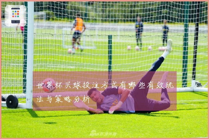 世界杯买球投注方式有哪些有效玩法与策略分析
