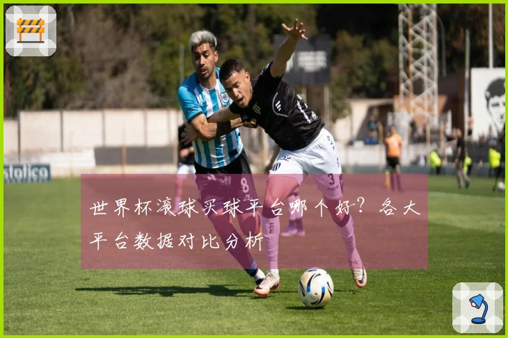 世界杯滚球买球平台哪个好？各大平台数据对比分析