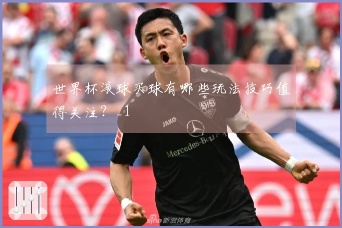 世界杯滚球买球有哪些玩法技巧值得关注？_1