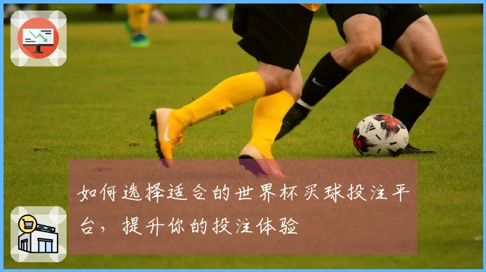 如何选择适合的世界杯买球投注平台，提升你的投注体验
