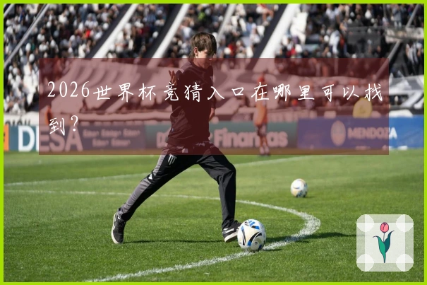 2026世界杯竞猜入口在哪里可以找到？