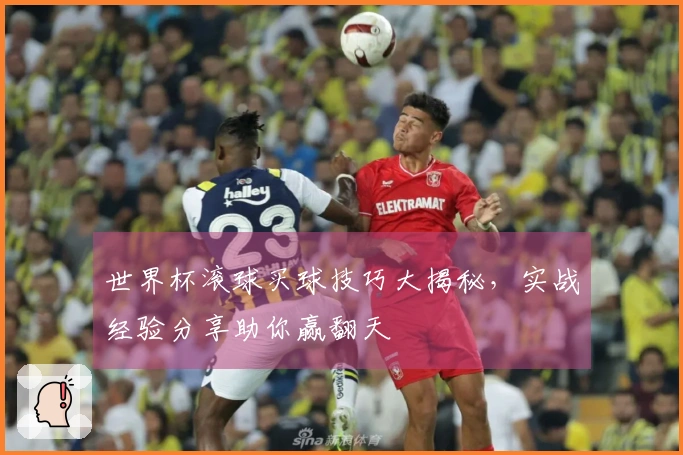 世界杯滚球买球技巧大揭秘，实战经验分享助你赢翻天