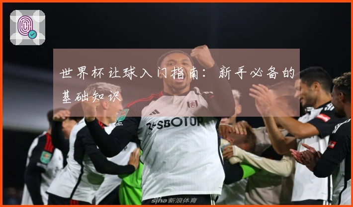 世界杯让球入门指南：新手必备的基础知识
