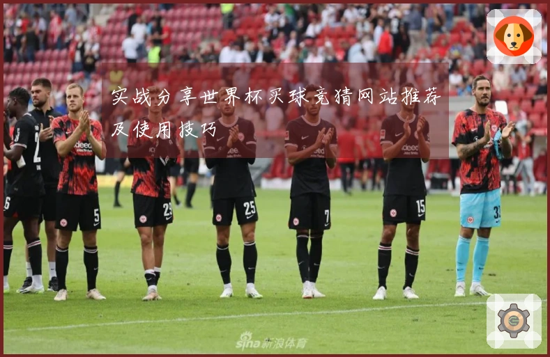 实战分享世界杯买球竞猜网站推荐及使用技巧