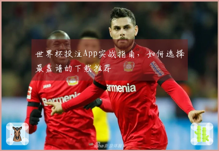 世界杯投注App实战指南，如何选择最靠谱的下载推荐