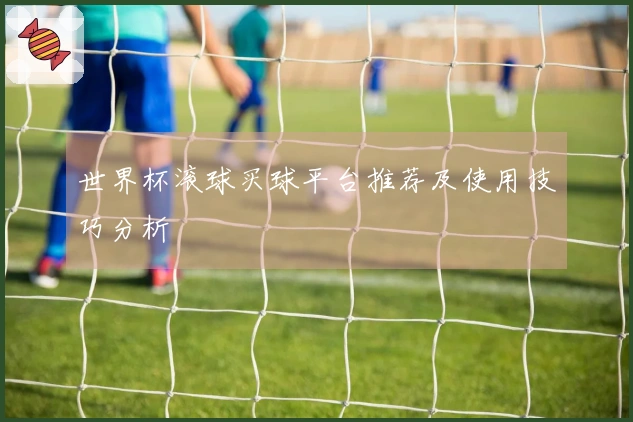 世界杯滚球买球平台推荐及使用技巧分析