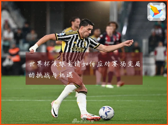 世界杯滚球竞猜如何应对赛场变局的挑战与机遇