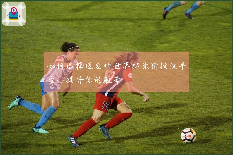 如何选择适合的世界杯竞猜投注平台，提升你的胜率