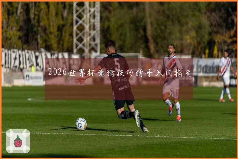 2026世界杯竞猜技巧新手入门指南