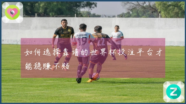 如何选择靠谱的世界杯投注平台才能稳赚不赔