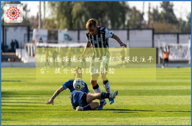 如何选择适合的世界杯买球投注平台，提升你的投注体验