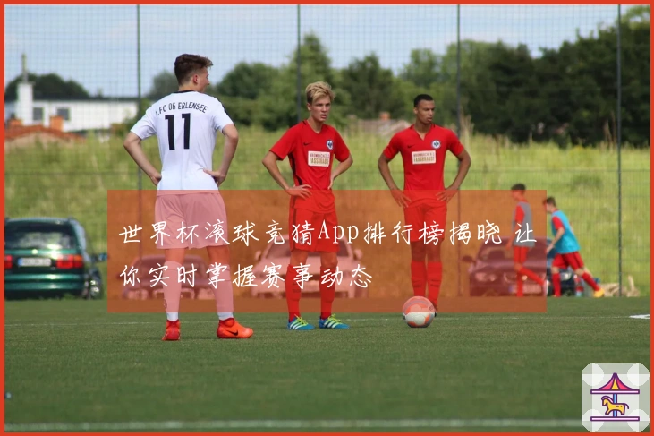 世界杯滚球竞猜App排行榜揭晓 让你实时掌握赛事动态