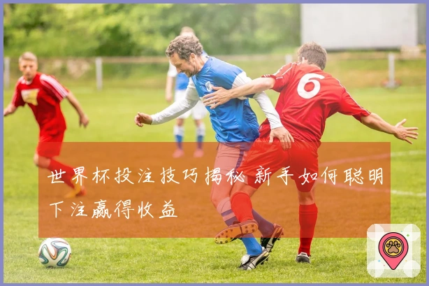 世界杯投注技巧揭秘 新手如何聪明下注赢得收益