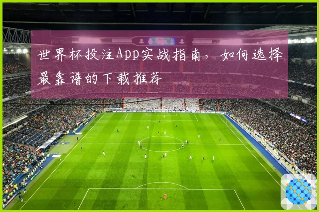世界杯投注App实战指南，如何选择最靠谱的下载推荐