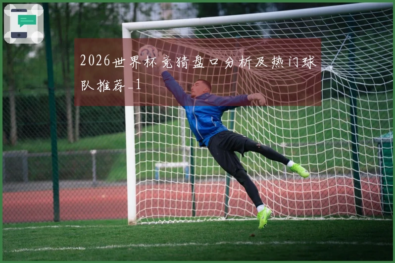 2026世界杯竞猜盘口分析及热门球队推荐_1