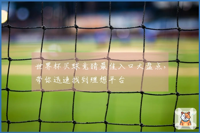 世界杯买球竞猜最佳入口大盘点，带你迅速找到理想平台