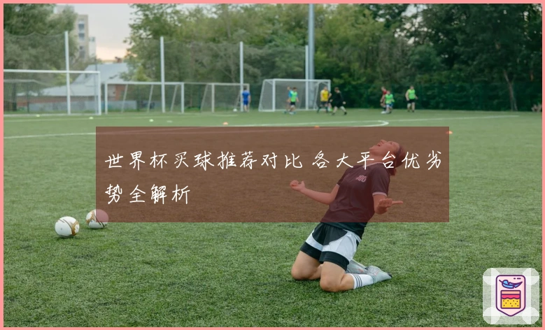 世界杯买球推荐对比 各大平台优劣势全解析